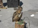 IMG_0274.jpg